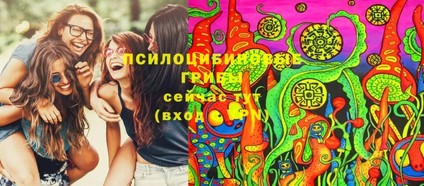 гидра Беломорск