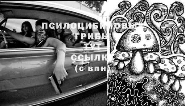 гидра Беломорск