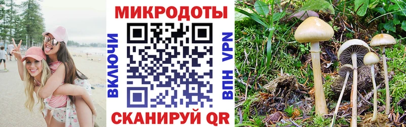 Галлюциногенные грибы MAGIC MUSHROOMS  наркотики  ссылка на мегу ТОР  Красный Кут 